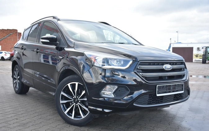 Ford Kuga cena 71900 przebieg: 97000, rok produkcji 2017 z Koło małe 254